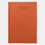 productos-doblevela/Agenda Diaria