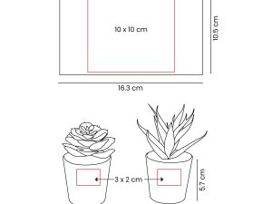 SET DE PLANTAS ALISO - KTC 750 B