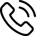 221 691 8731